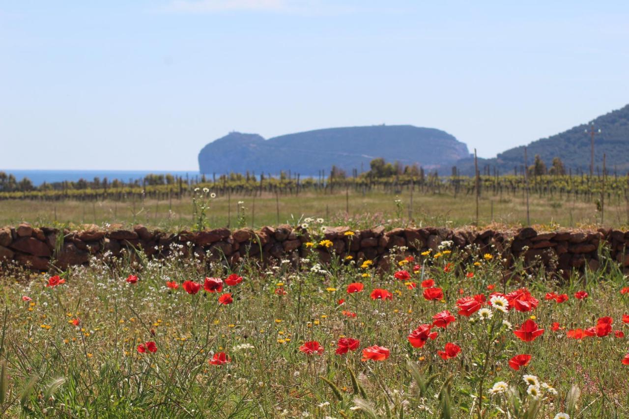 Agriturismo Graziano E Barbara Porto Conte Bagian luar foto