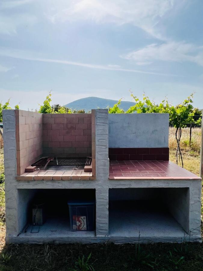 Agriturismo Graziano E Barbara Porto Conte Bagian luar foto